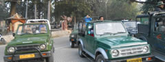 Safari at Jhilmil Jheel