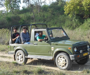 Jungle Safari