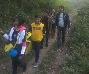 Jungle Trekking